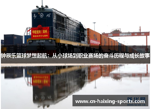 钟辰乐篮球梦想起航：从小球场到职业赛场的奋斗历程与成长故事
